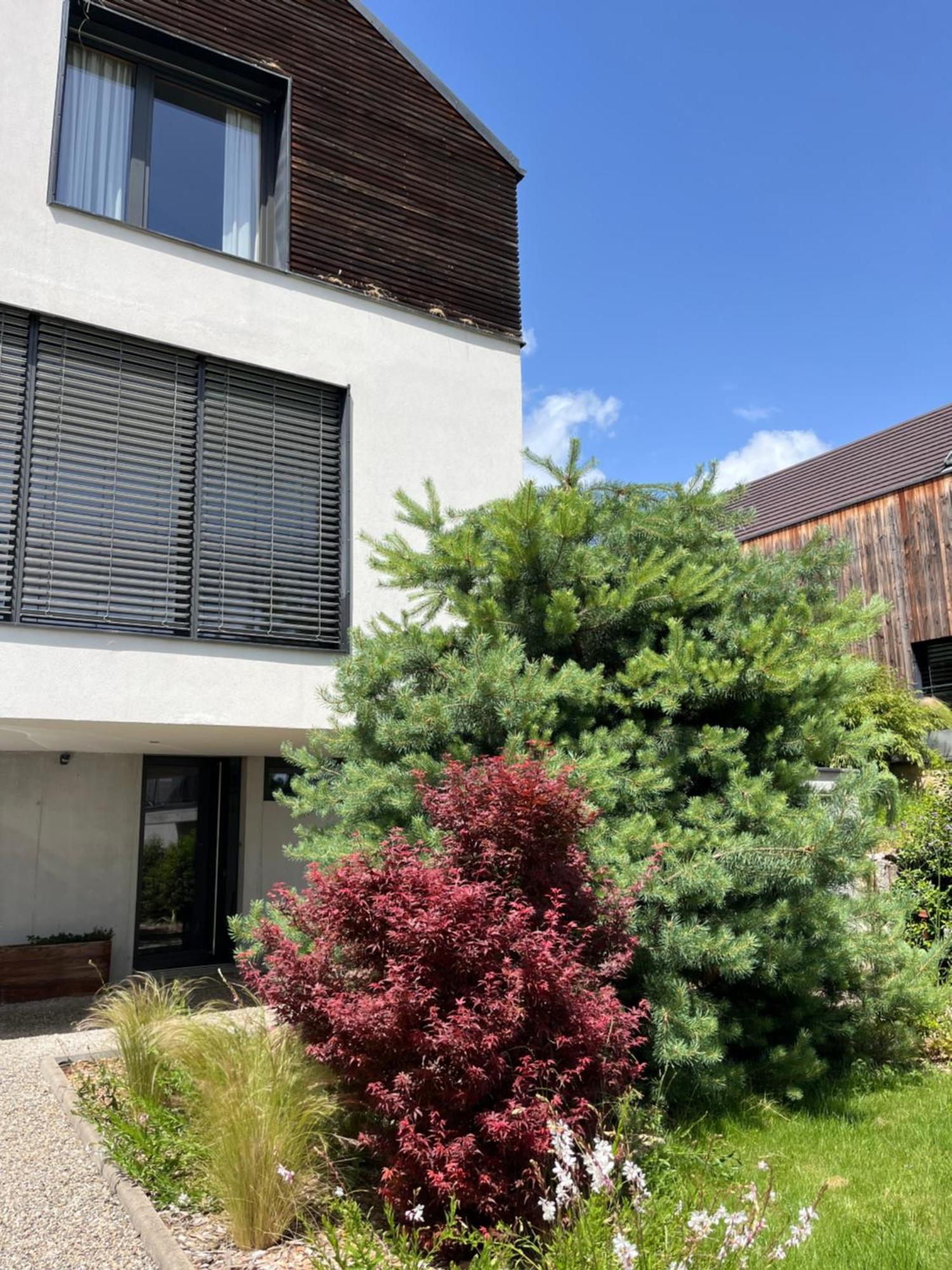 Chambre Double 2 P Luxe Aux Vignes Lovees, Entree Independante Riquewihr Kültér fotó